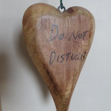 莫尔加斯旅馆 招待所 约克